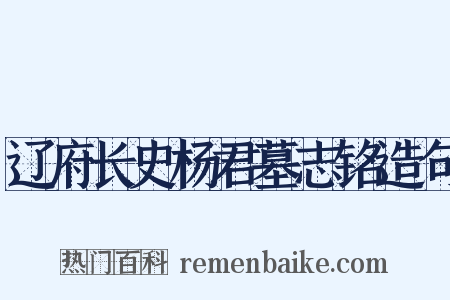 辽府长史杨君墓志铭造句是什么意思的图片
